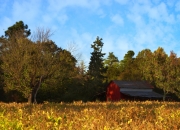 开云体育平台APP-当绿茵场遇见地缘棋盘，论莫德里奇与苏格兰的掌控力艺术