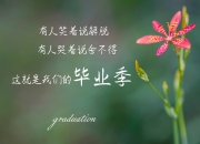 开云体育入口-贝恩，冠军的心脏，他用23次手术磨砺的意志，助北京队收割新疆