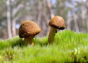 开云体育-手术刀的寒芒，迪马利亚在排名争夺夜的华丽独舞