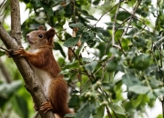 开云体育APP下载-黄潜艇惊魂夜，喀麦隆利刃血拼陶瓷球场