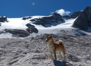 开云APP-铁幕之下的唯一惊喜，当卡瓦哈尔的偶然魔法，撞碎美国的必然剧本