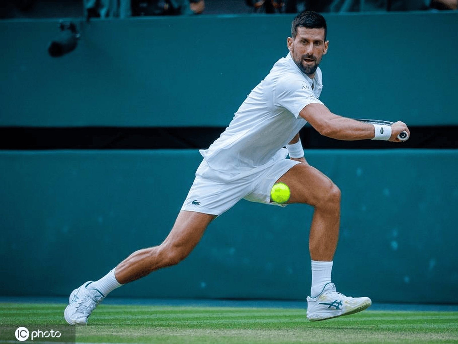 ATP总决赛逆转戴维斯杯,德约科维奇统治全场 ATP总决赛逆转戴维斯杯,德约科维奇统治全场