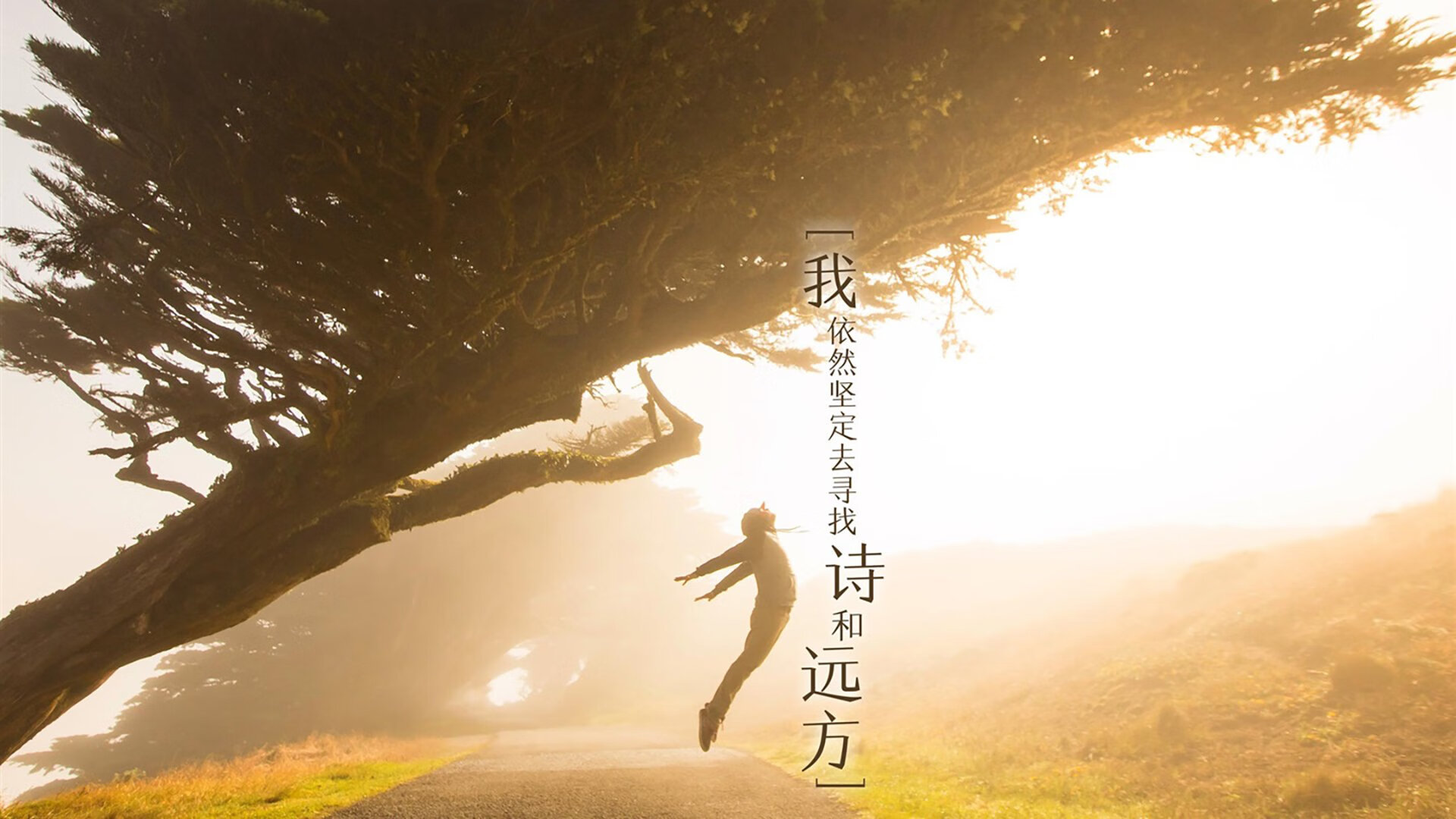 冰与火的交响，从门迪的抢七神迹到加拿大足球的爆冷美学