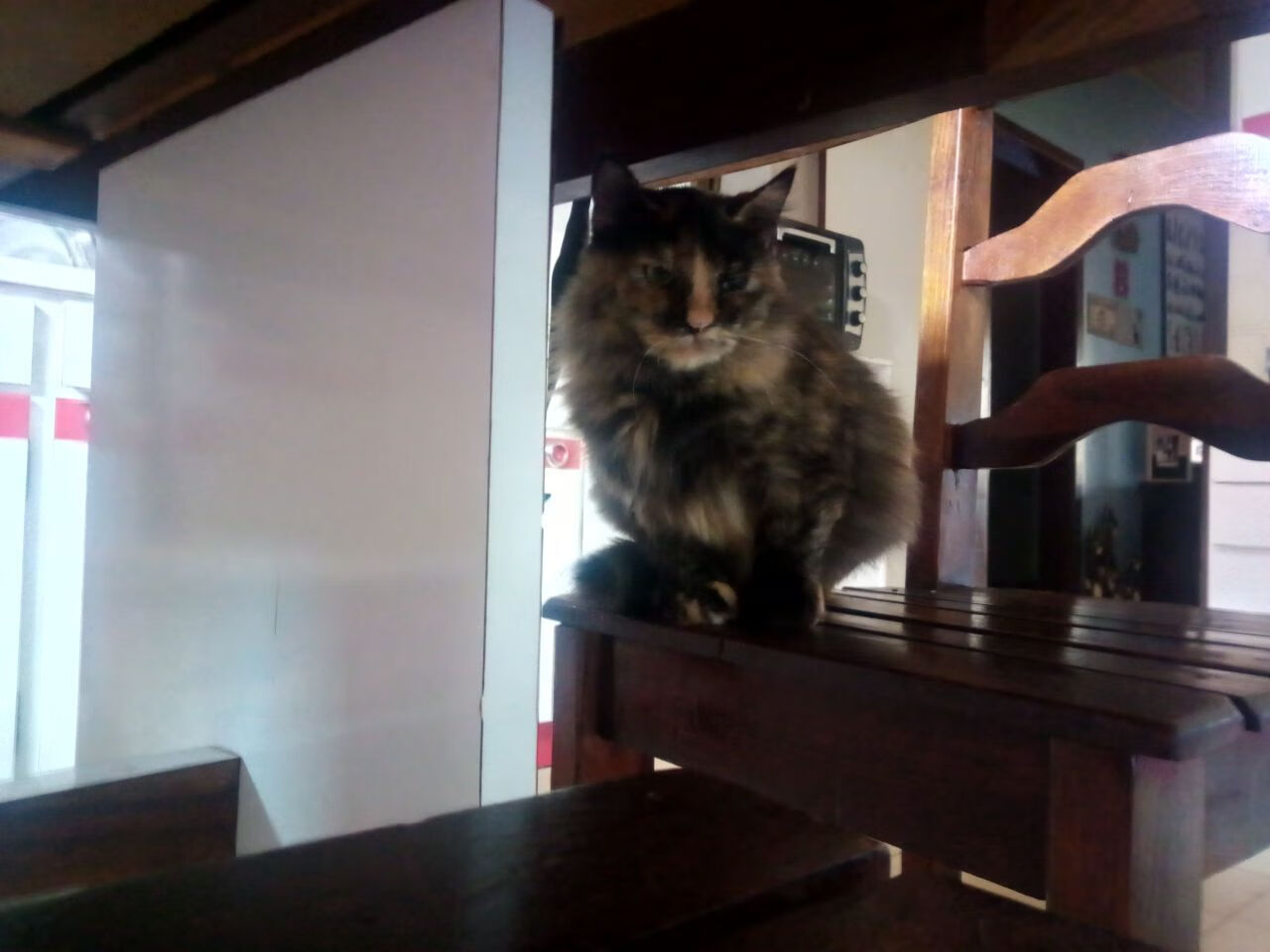 沙漠终章,斯通斯一瞬封神,暗夜里的唯一王座