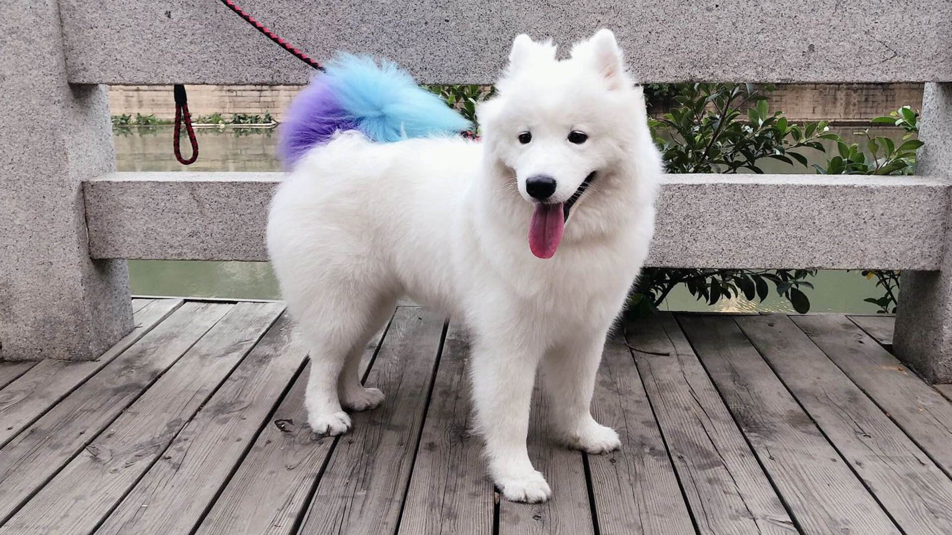 闪耀与倾覆，利拉德史诗之夜，掘金以钢铁意志终结勇士王朝