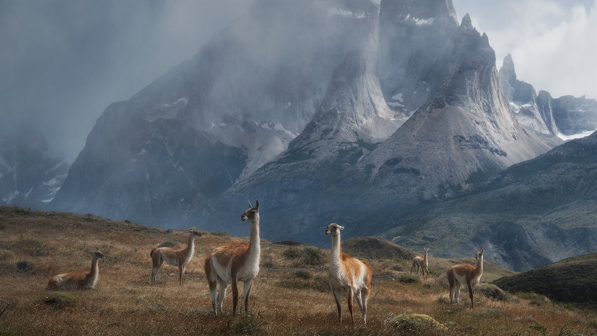 绿茵场上的双面叙事，莱奥的永恒铭刻与切尔西的集体风暴