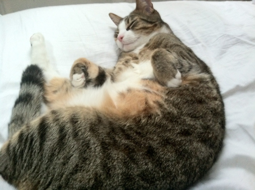 铁血方程式,当山西煤城硬汉撞上F1极速拉文