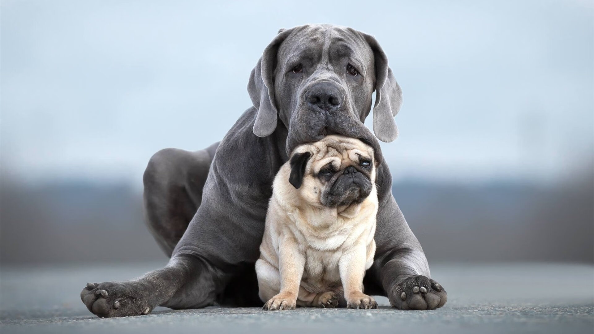 凯塞多,手术刀般的冷静,刺穿美利坚的钢铁防线