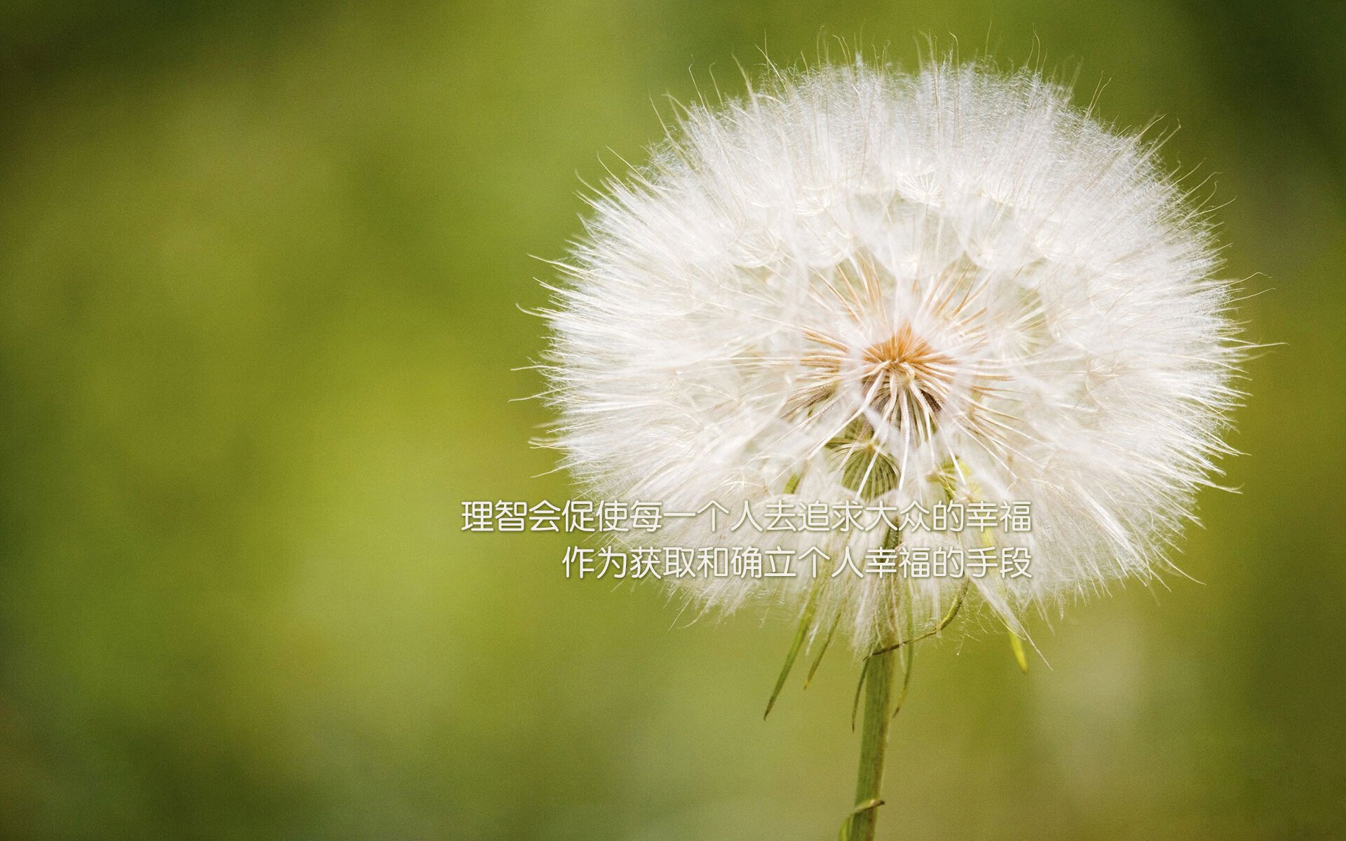 当CBA遇上NBA,深圳队对决76人,库里轰下生涯新高点燃跨界梦幻夜