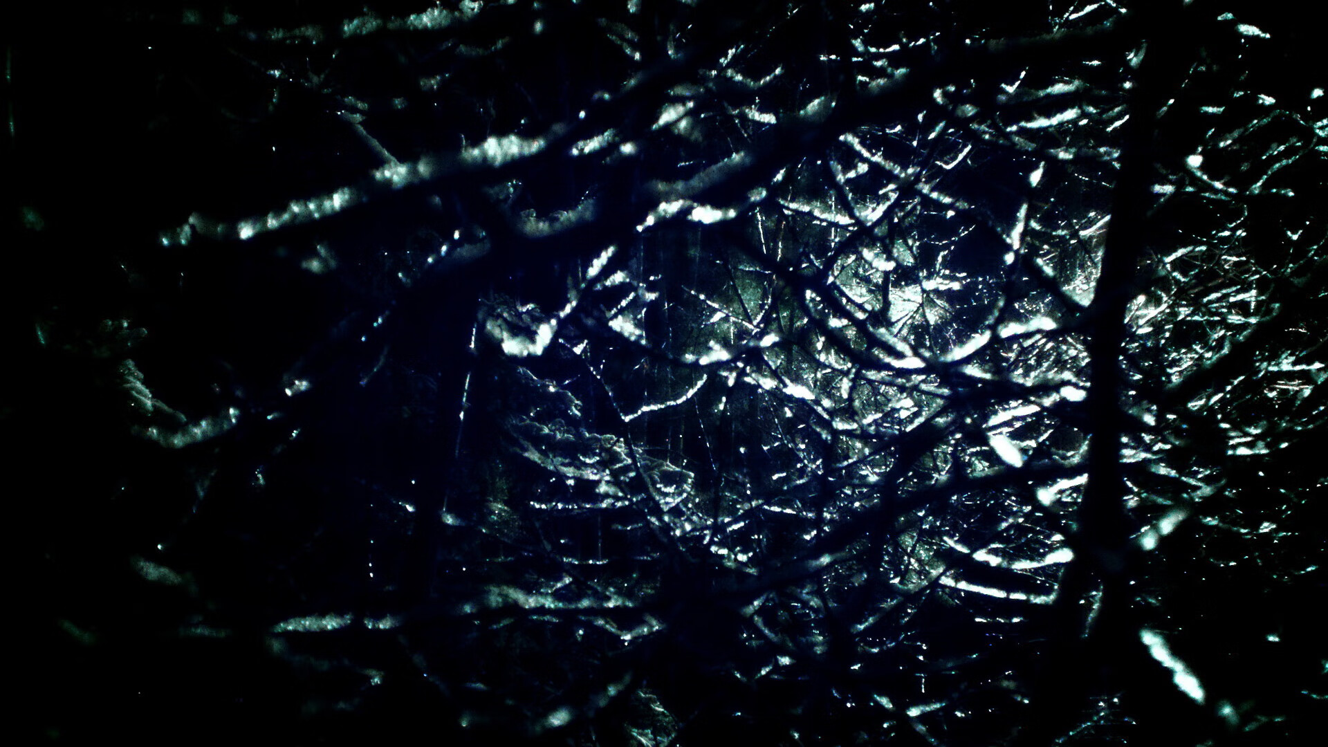 西决生死战之夜，当神祇坠落，凡人登基