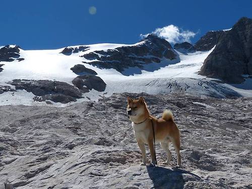 铁幕之下的唯一惊喜,当卡瓦哈尔的偶然魔法,撞碎美国的必然剧本