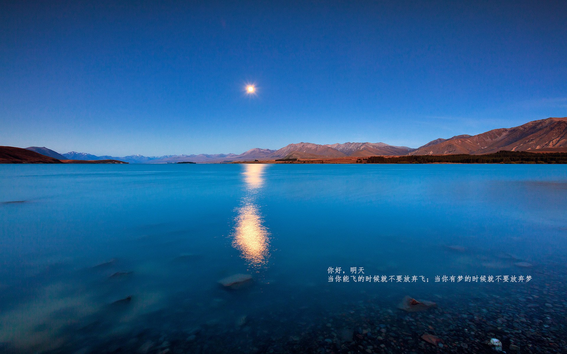 狂胜背后的刺客,骑士扫落太阳,布克却在暗夜亮出刀锋