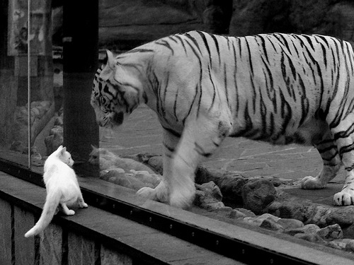 浙江之光燃动东方，死神之镰收割胜利—杜兰特关键先生本色助浙江队强势晋级