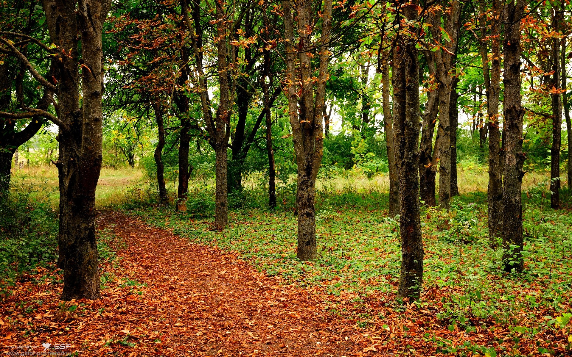 弯道与压哨,F1冠军之夜与塔图姆的超车时刻