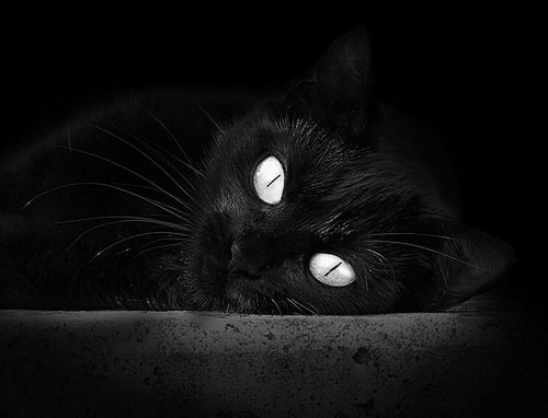 东决生死夜，乔治冰火淬炼，剑锋出鞘显教科书