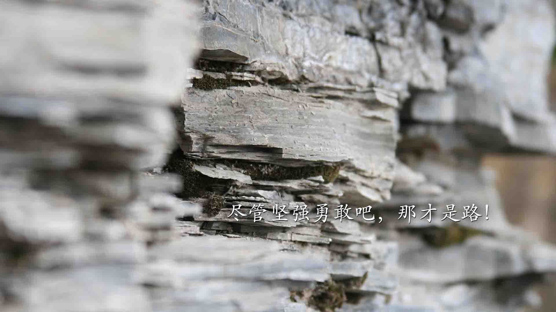 历史轮回，2026世界杯焦点战，匈牙利闪电战横扫伊拉克，姆巴佩书写新传奇